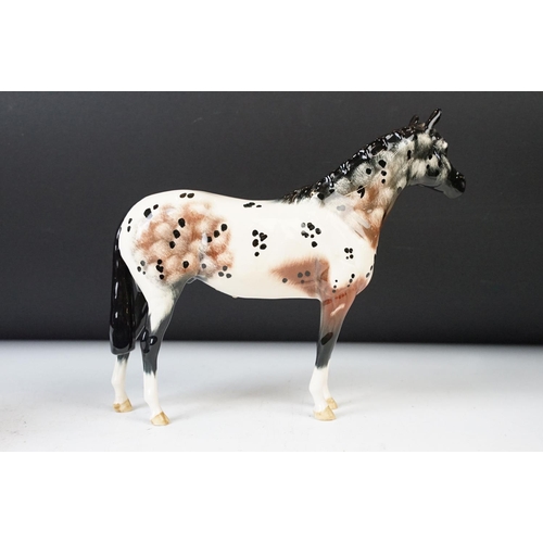 22 - Royal Doulton 'Appaloosa' stallion horse and Beswick chestnut horse ceramic gloss figurines. 20cm ta... 