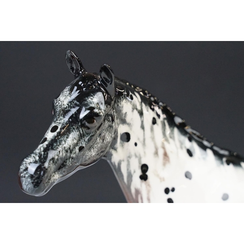 22 - Royal Doulton 'Appaloosa' stallion horse and Beswick chestnut horse ceramic gloss figurines. 20cm ta... 