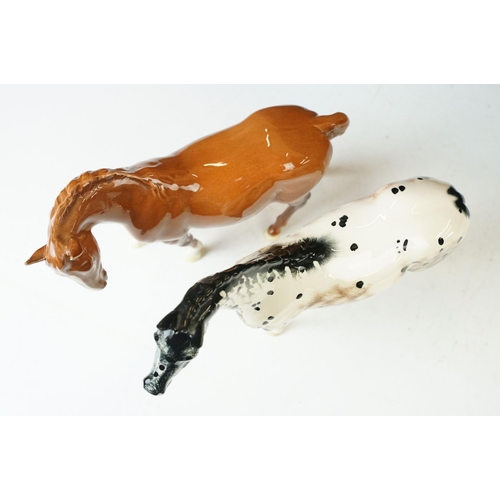 22 - Royal Doulton 'Appaloosa' stallion horse and Beswick chestnut horse ceramic gloss figurines. 20cm ta... 