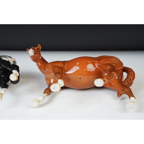 22 - Royal Doulton 'Appaloosa' stallion horse and Beswick chestnut horse ceramic gloss figurines. 20cm ta... 