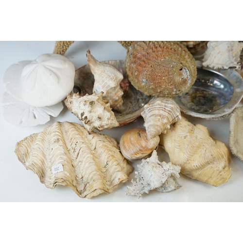 96 - Beautiful conchology collection of sea shells with examples of Paua shell, a large starfish, conch s... 