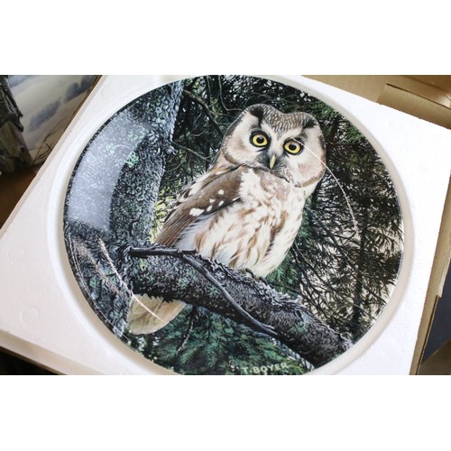 58 - Wedgwood 'The Majesty of Owls' by Trevor Boyer collectors plates, to include, Tawny owl and Tengmalm... 