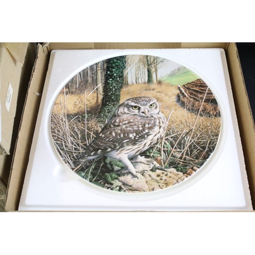 58 - Wedgwood 'The Majesty of Owls' by Trevor Boyer collectors plates, to include, Tawny owl and Tengmalm... 