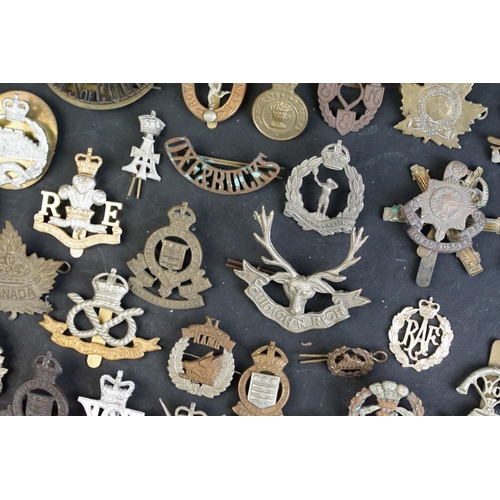 264 - A collection of approx fifty mainly British military regimental cap and collar badges to include the... 