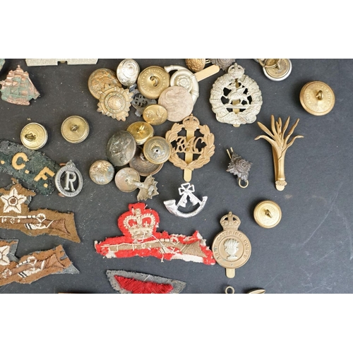 265 - A collection of over forty mainly British Regimental cap and collar badges together with a selection... 