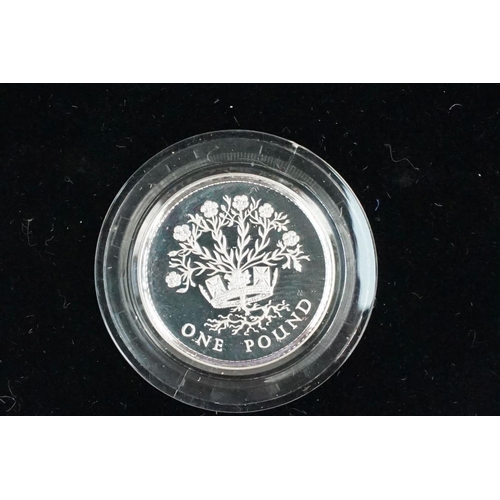 86 - A Royal Mint Queen Elizabeth II 1984-1987 £1 piedfort silver proof four coin set, encapsulated withi... 