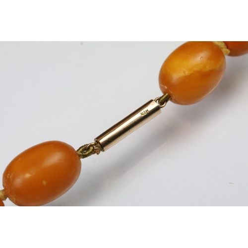 6 - Butterscotch amber beaded necklace having 39 graduating oval beads with a 9ct gold clasp. Largest be... 