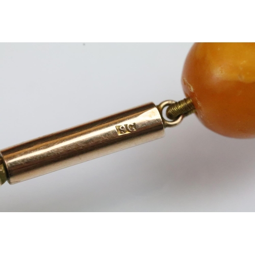 6 - Butterscotch amber beaded necklace having 39 graduating oval beads with a 9ct gold clasp. Largest be... 