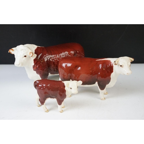 6 - Beswick family of Hereford cattle to include Ch. of Champions Bull & Cow and two calves