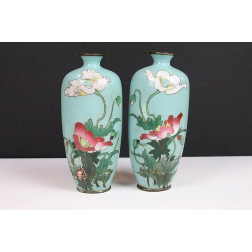 32 - Pair of Japanese Meiji period Ando style cloisonne vases decorated with poppies on a blue ground (bo... 