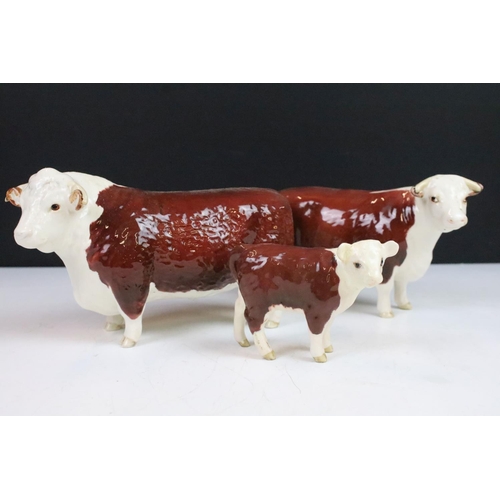 6 - Beswick family of Hereford cattle to include Ch. of Champions Bull & Cow and two calves