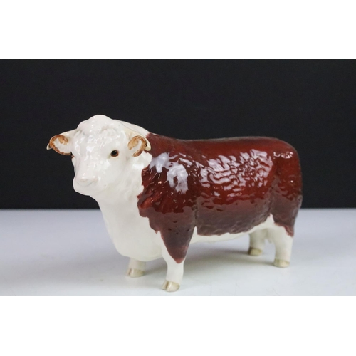 6 - Beswick family of Hereford cattle to include Ch. of Champions Bull & Cow and two calves