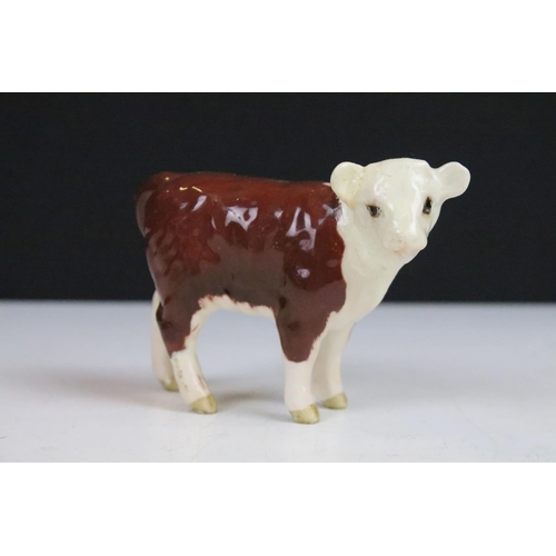 6 - Beswick family of Hereford cattle to include Ch. of Champions Bull & Cow and two calves