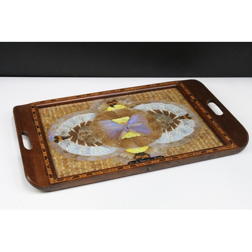 384 - Vintage two handled inlay tray with butterfly wing design under glass, Rio de Janeiro - Brasil, W 52... 