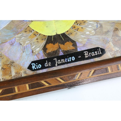 384 - Vintage two handled inlay tray with butterfly wing design under glass, Rio de Janeiro - Brasil, W 52... 