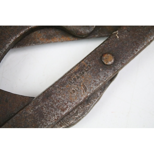 260 - A collection of World War One and World War Two military issued wire cutters to include British and ... 