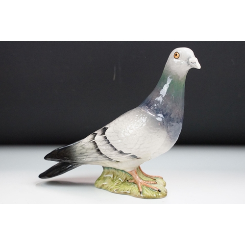 65 - Group of six Beswick pigeons, four in high gloss finish, 1383,  two in matte finish.