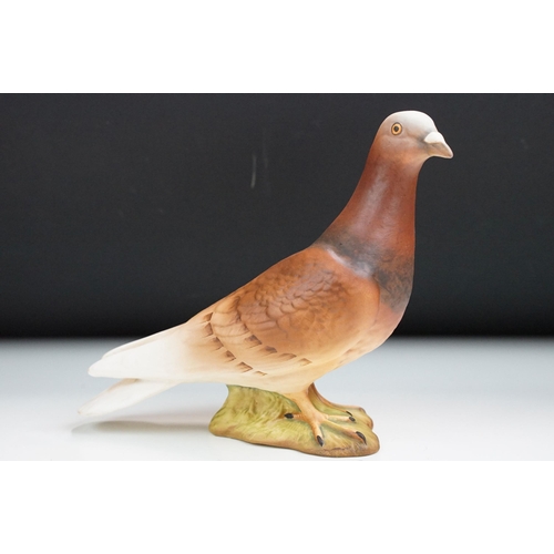 65 - Group of six Beswick pigeons, four in high gloss finish, 1383,  two in matte finish.