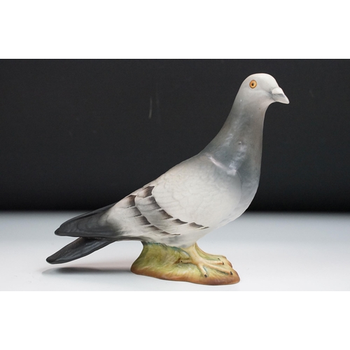 65 - Group of six Beswick pigeons, four in high gloss finish, 1383,  two in matte finish.