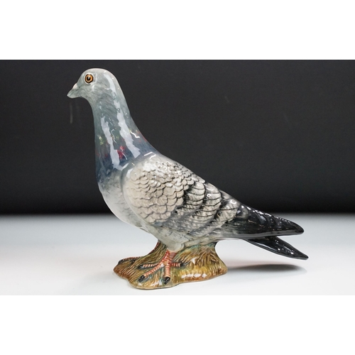 65 - Group of six Beswick pigeons, four in high gloss finish, 1383,  two in matte finish.