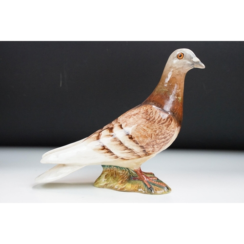 65 - Group of six Beswick pigeons, four in high gloss finish, 1383,  two in matte finish.