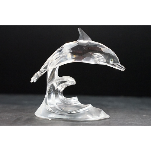 75 - Collection of twelve Swarovski Arctic animals to include Dolphins, Penguin, Whale, Walrus, Seals, Po... 