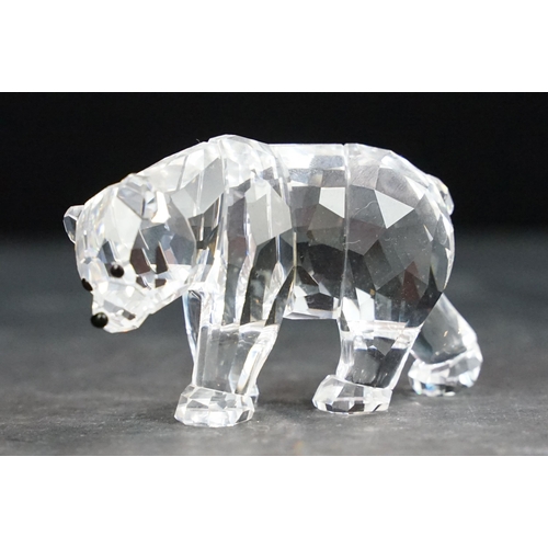 75 - Collection of twelve Swarovski Arctic animals to include Dolphins, Penguin, Whale, Walrus, Seals, Po... 