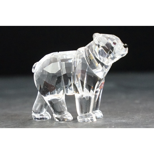 75 - Collection of twelve Swarovski Arctic animals to include Dolphins, Penguin, Whale, Walrus, Seals, Po... 