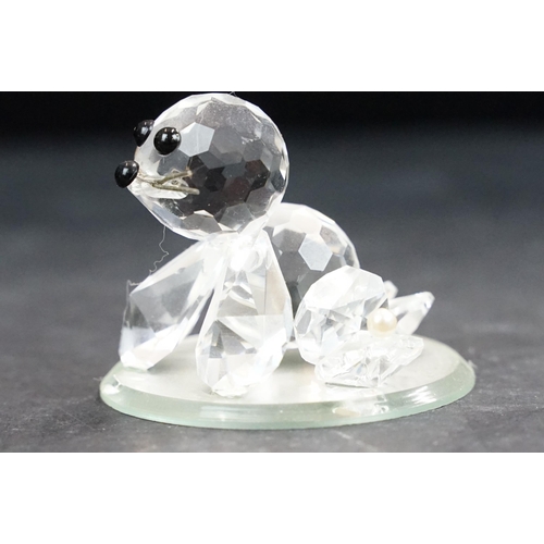 75 - Collection of twelve Swarovski Arctic animals to include Dolphins, Penguin, Whale, Walrus, Seals, Po... 