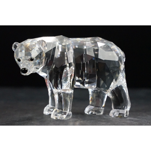 75 - Collection of twelve Swarovski Arctic animals to include Dolphins, Penguin, Whale, Walrus, Seals, Po... 