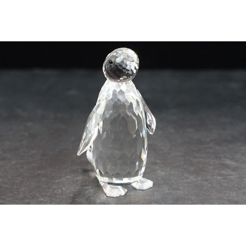 75 - Collection of twelve Swarovski Arctic animals to include Dolphins, Penguin, Whale, Walrus, Seals, Po... 