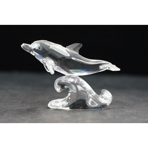 75 - Collection of twelve Swarovski Arctic animals to include Dolphins, Penguin, Whale, Walrus, Seals, Po... 