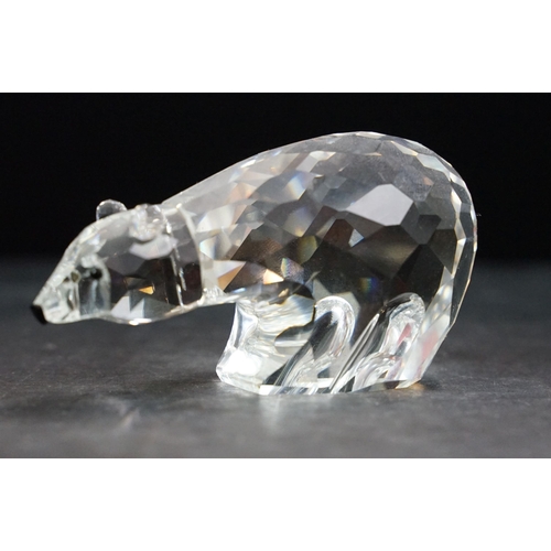 75 - Collection of twelve Swarovski Arctic animals to include Dolphins, Penguin, Whale, Walrus, Seals, Po... 