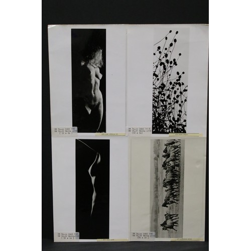 358 - Approx 120 Verkerke Reprodukties and similar photographic print poster samples c.1980s to include Ji... 