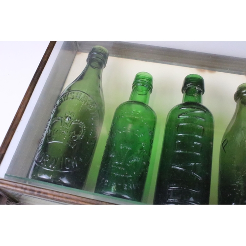 162 - Five 20th century green glass beer bottles in wood and glass display case H 36cm W 51cm D 11cm