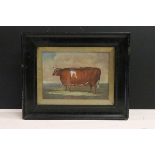 498 - Provincial study of a Durham ox in pastoral landscape, oil painting, 16.5 x 22.5cm, framed and glaze... 