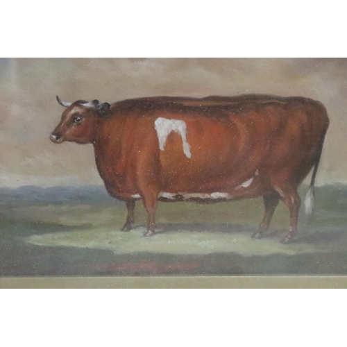 498 - Provincial study of a Durham ox in pastoral landscape, oil painting, 16.5 x 22.5cm, framed and glaze... 