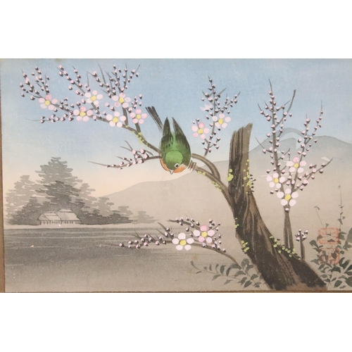 501 - Matsumoto Studio (Tokio), set of four: Japanese studies of songbirds in their habitat (framed as one... 