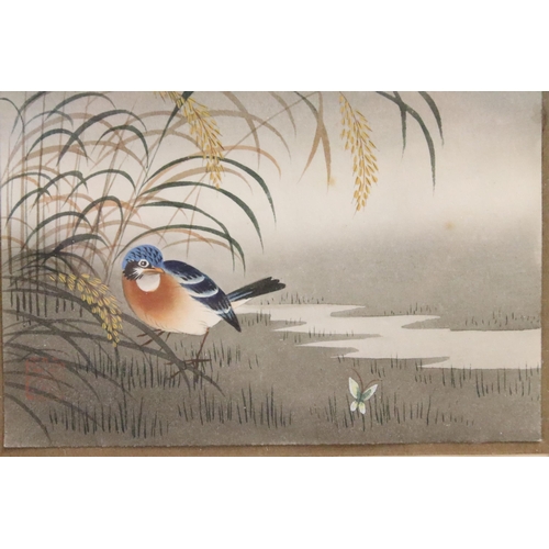 501 - Matsumoto Studio (Tokio), set of four: Japanese studies of songbirds in their habitat (framed as one... 