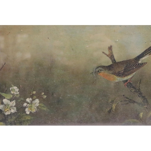 512 - 19th century study of a robin on a branch and flowering blossom, oil on canvas, 22 x 29cm, gilt fram... 