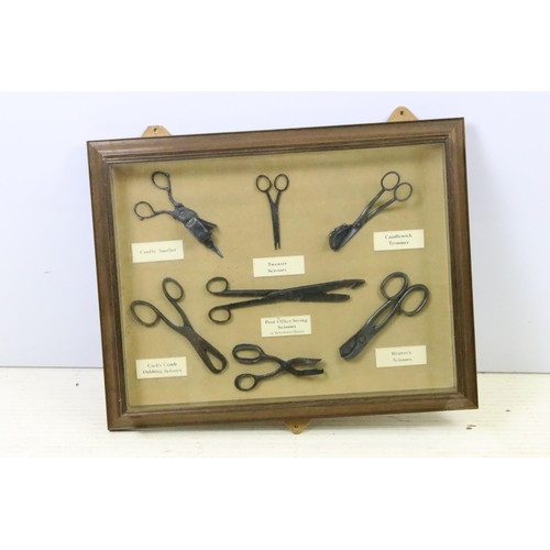 536 - Antique scissors - seven pairs of various scissors, mounted in a box frame, to include weaver's scis... 