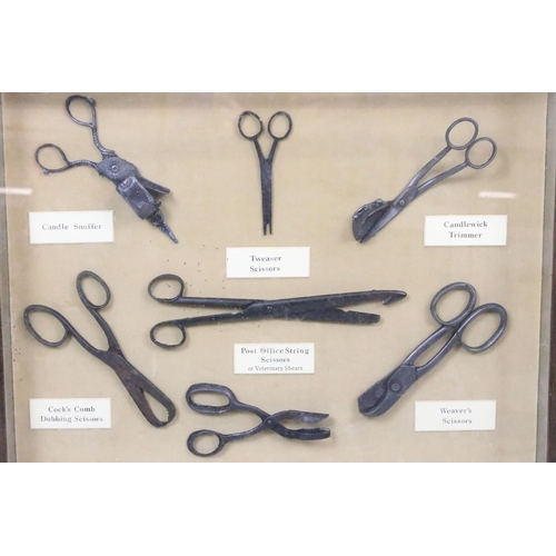 536 - Antique scissors - seven pairs of various scissors, mounted in a box frame, to include weaver's scis... 