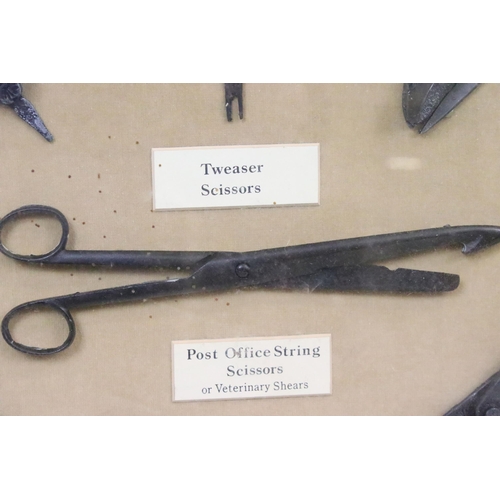 536 - Antique scissors - seven pairs of various scissors, mounted in a box frame, to include weaver's scis... 