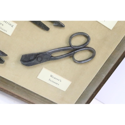 536 - Antique scissors - seven pairs of various scissors, mounted in a box frame, to include weaver's scis... 