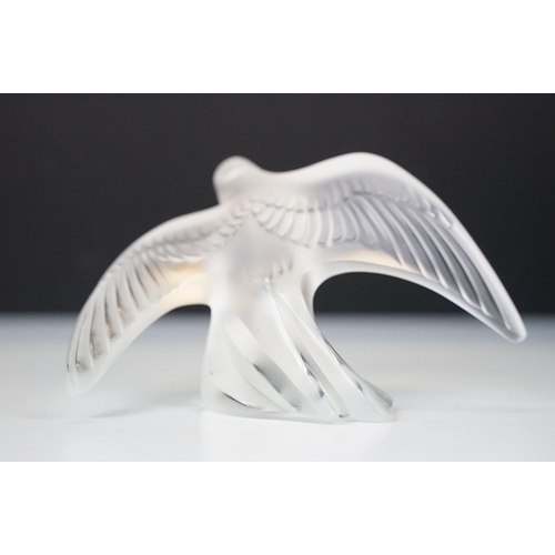 2 - Lalique Chirping swallow 'Martinet Siffleur/Chanteur' crystal glass ornament bird figurine, boxed, a... 