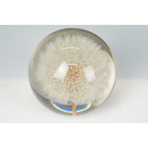 64 - Collection of paperweights to include, dandelion, apple design, Cape cod c.2003, Haford Grange c.199... 