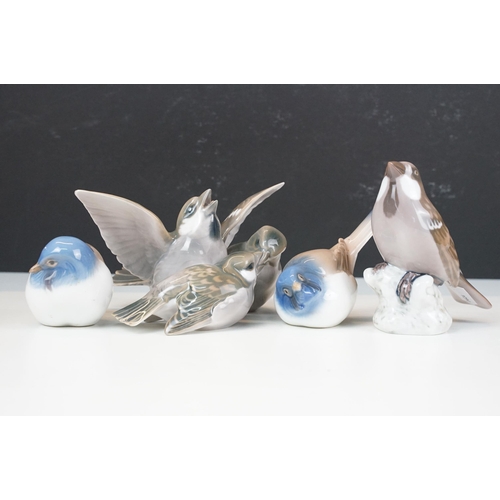 53 - Group of four B&G Denmark ceramic bird figurines.