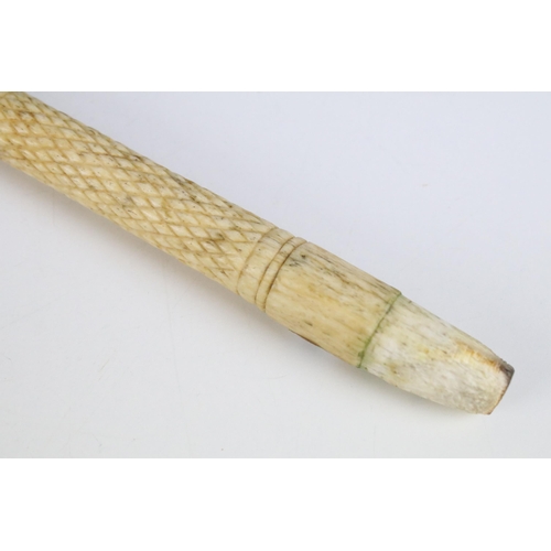 171A - An antique narwhal horn walking cane, pre 1947, measures approx 78cm in length, CITIES Ref No.609309... 