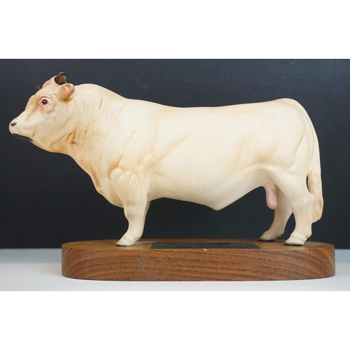 10 - Beswick Connoisseur model of a Charolais bull on wooden plinth, model no. A2600, Matt finish, 24cm l... 