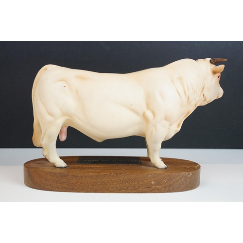 10 - Beswick Connoisseur model of a Charolais bull on wooden plinth, model no. A2600, Matt finish, 24cm l... 